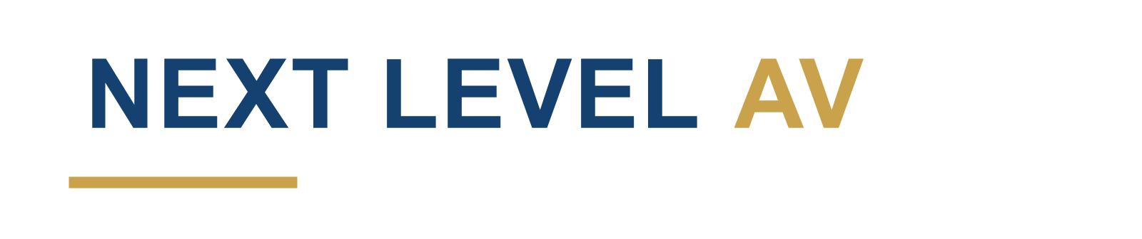 Next Level Audio | Video